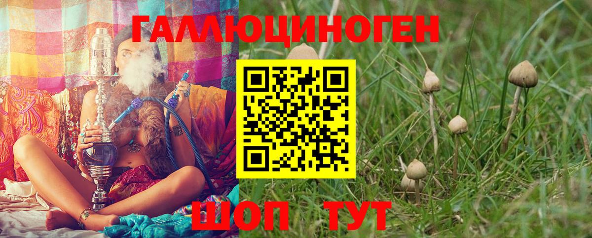 Псилоцибиновые грибы прущие грибы  Псилоцибиновые грибы прущие грибы  Вход с VPN  Вязьма 